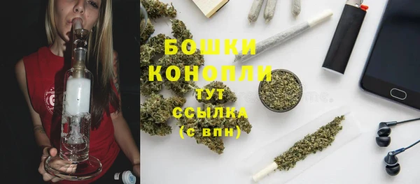 эйфоретик Новодвинск
