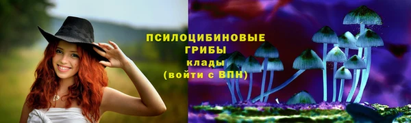 мдпв Нефтегорск