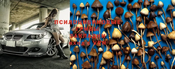 мдпв Нефтегорск