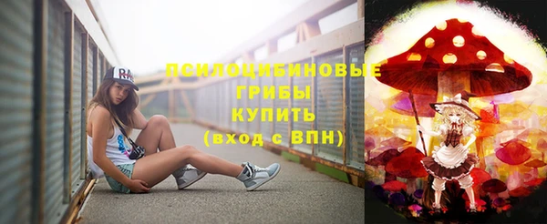 эйфоретик Новодвинск